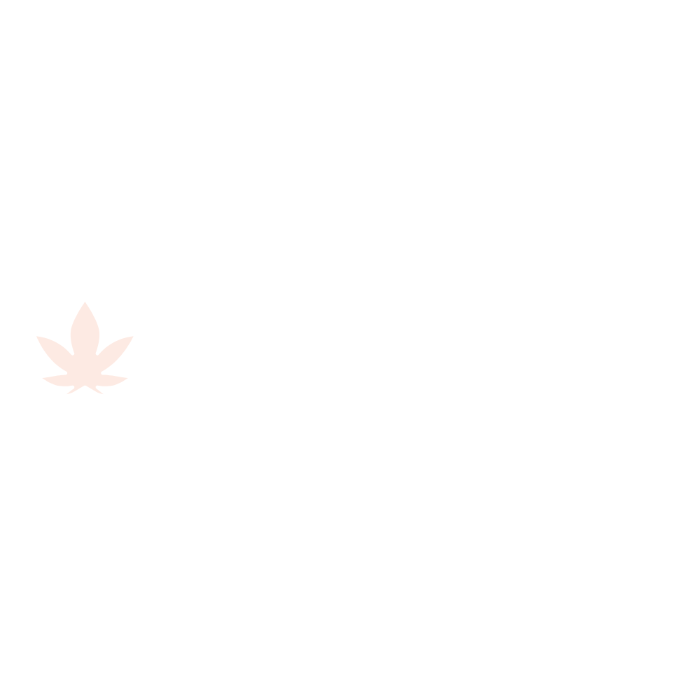 Latinas in Cannabis